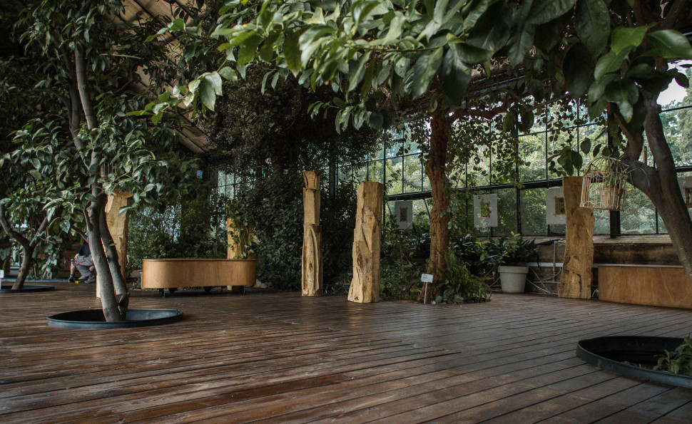 Оранжерея на ВДНГ 