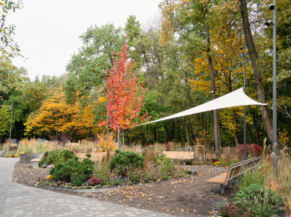 Терапевтичний сад на ВДНГ 