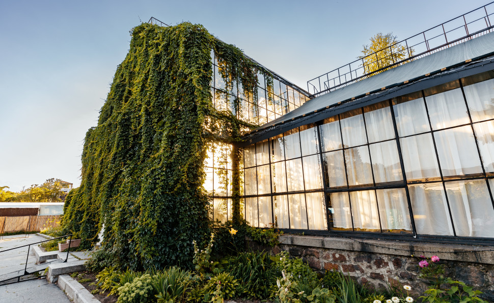 Куди піти на ВДНГ цього літа