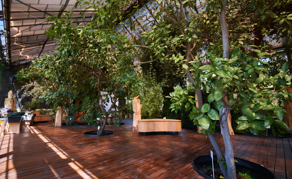 Події на ВДНГ 6–7 вересня: ярмарки, фестивалі, йога та концерти