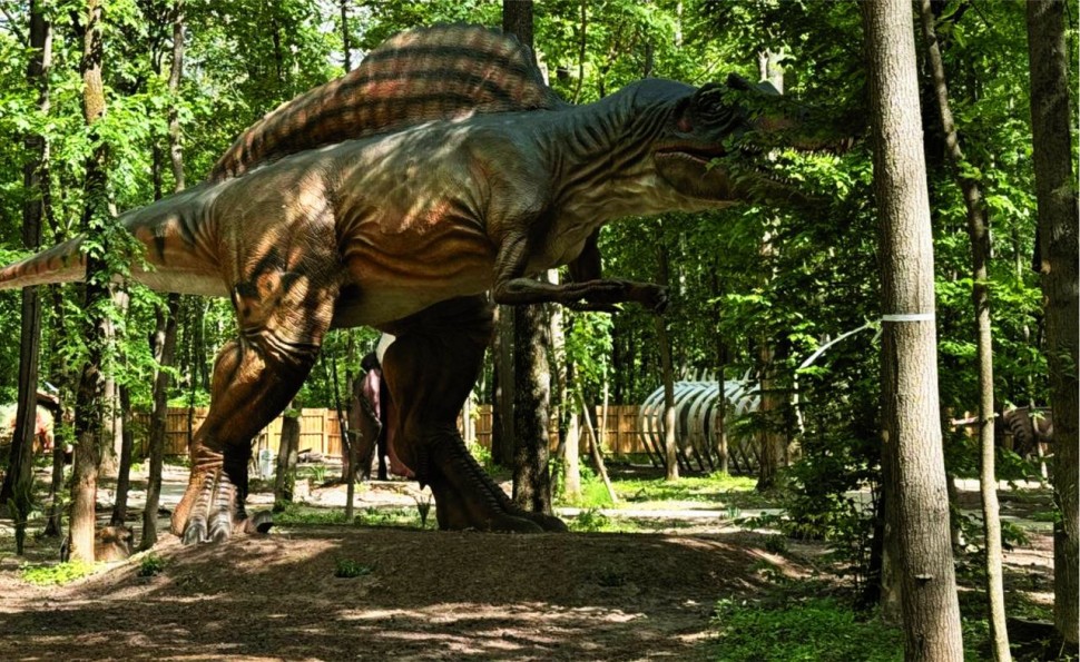 Зимовий Шуміленд на ВДНГ — країна вогнів, казок і зимових пригод