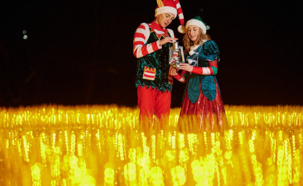 У пошуках святкового настрою: як не загубитися в «Зимовій країні» на ВДНГ