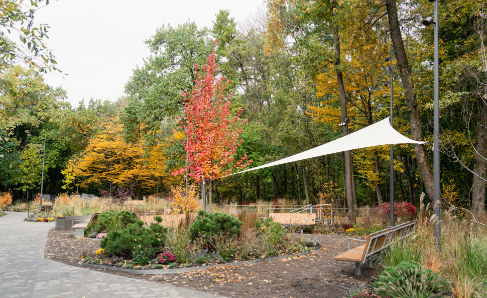 Терапевтичний сад на ВДНГ 