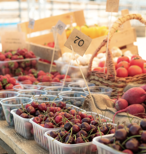 Перший ярмарок «Літній збір» на ВДНГ: Як це було