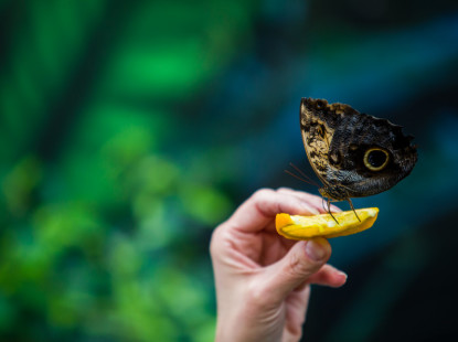 5 дієвих способів зігрітися на ВДНГ