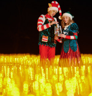  Золоте пшеничне поле та світлові скульптури: на ВДНГ відкривається артпростір ILLUMINARIUM