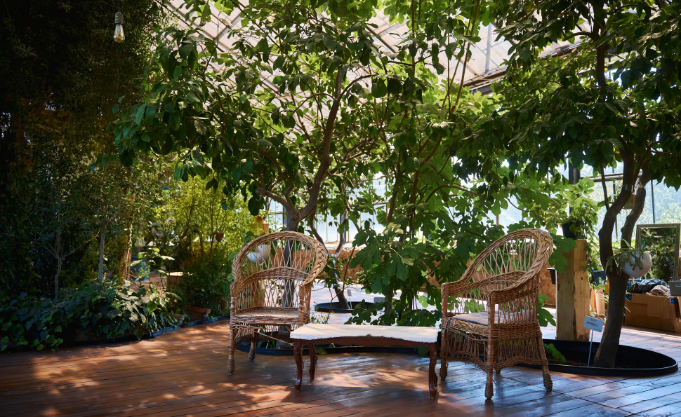 Куди піти на ВДНГ цього літа