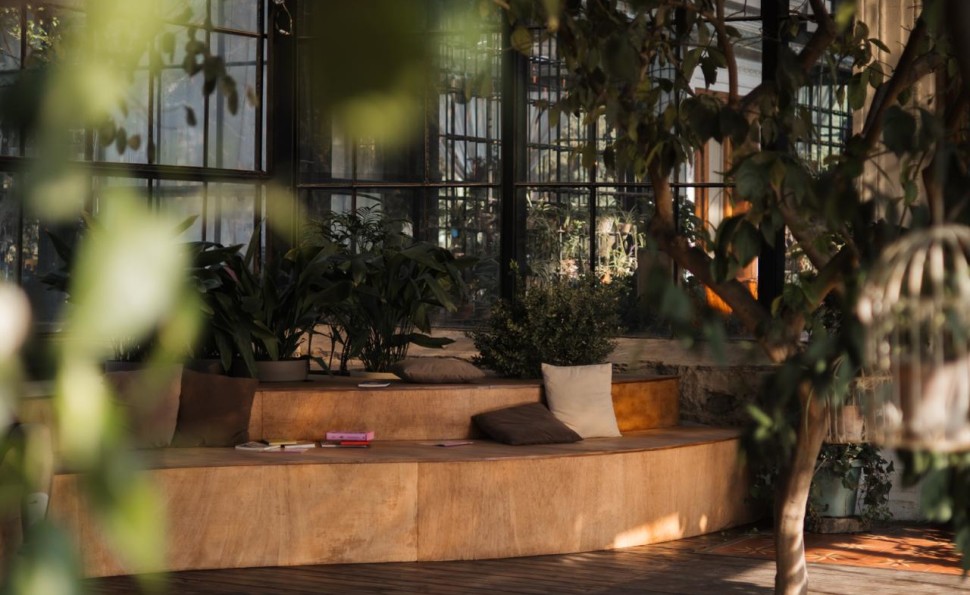 Оранжерея чар