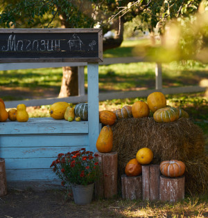 Події на ВДНГ 25–26 жовтня: зустрічі, фестивалі й тепла осіння атмосфера