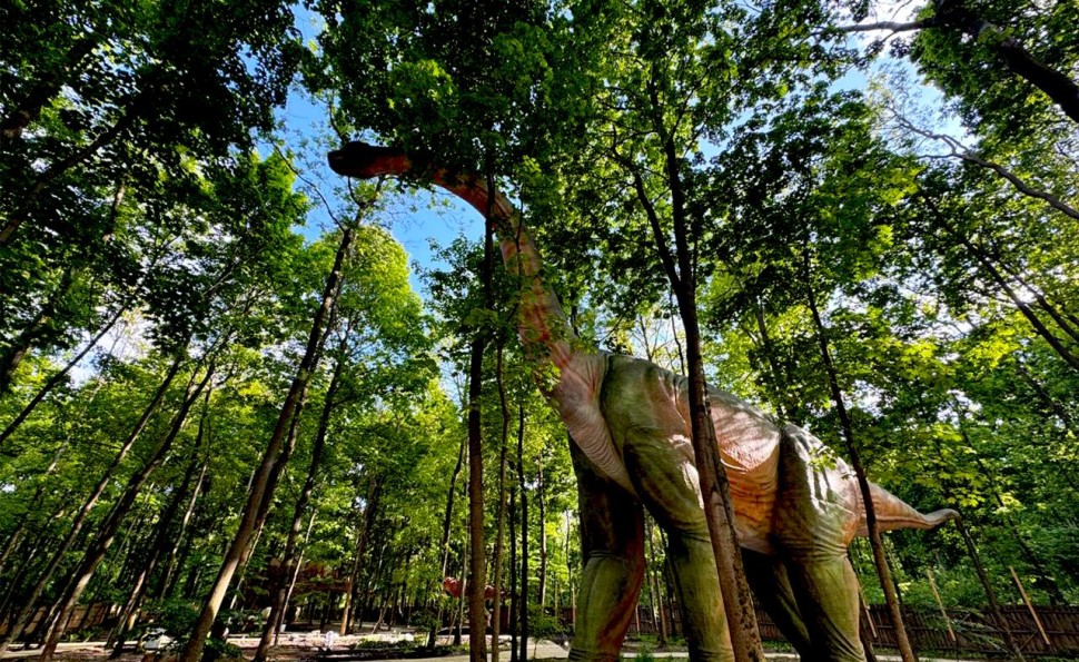 Зимовий Шуміленд на ВДНГ — країна вогнів, казок і зимових пригод