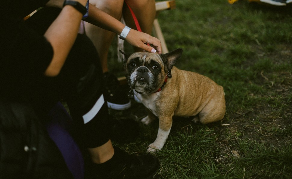 Вихідні на ВДНГ: усі події з 11 по 13 серпня