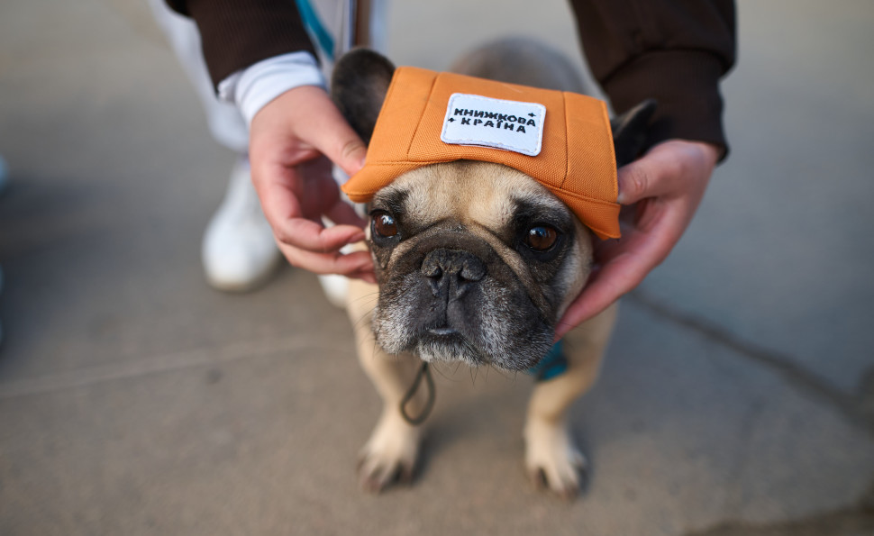 Осінній затишок і літературний урожай: гід фестивалем «Книжкова країна. Плодова»