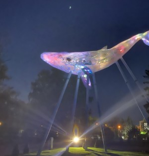 Київський Кит: 12-метрову медіа скульптуру з переробленого пластику презентують на ВДНГ