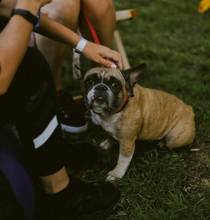 Вихідні на ВДНГ: усі події з 11 по 13 серпня