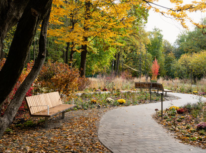 На ВДНГ відкрили Терапевтичний сад: який вигляд має новий простір для відновлення та розвантаження