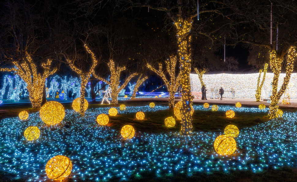 ІЛЮМІНАРІУМ — магія світла, що розквітає зимовими вечорами