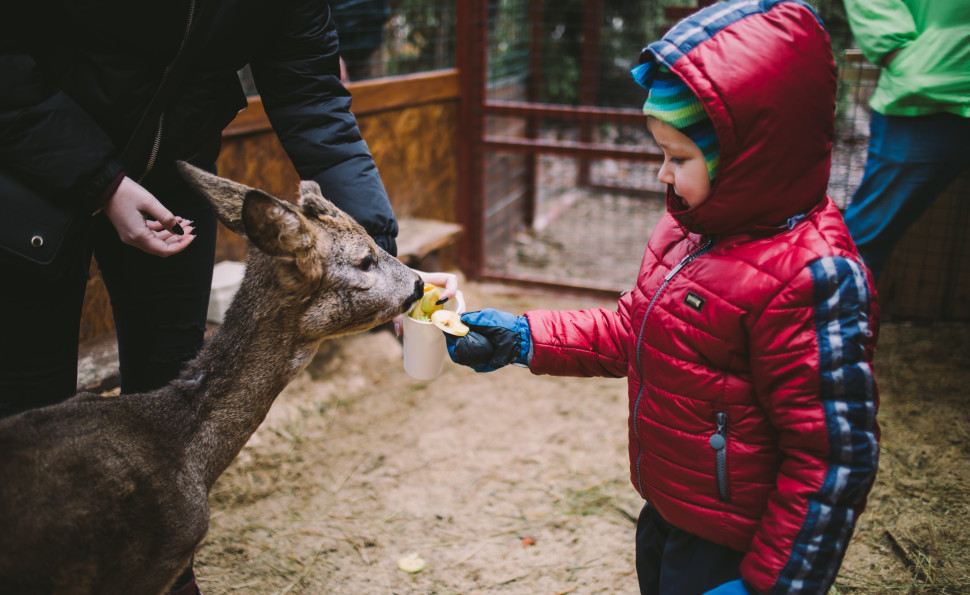 Найбільша ковзанка й Резиденція Санти, масштабні світлові інсталяції та фотозони: де шукати дива на «Зимовій країні» на ВДНГ