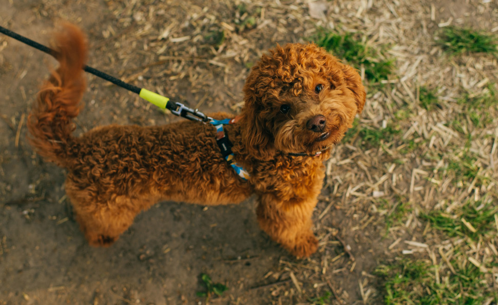 Живімо життя! ВДНГ закликає не відкладати нічого на потім