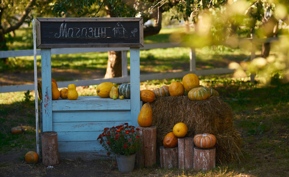 Події на ВДНГ 25–26 жовтня: зустрічі, фестивалі й тепла осіння атмосфера