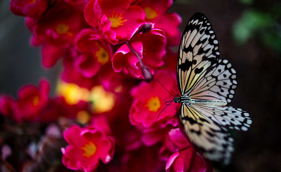 Видихнути й відновитися на ВДНГ. Гід літніми локаціями