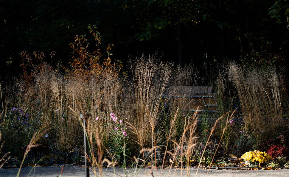 Терапевтичний сад на ВДНГ 