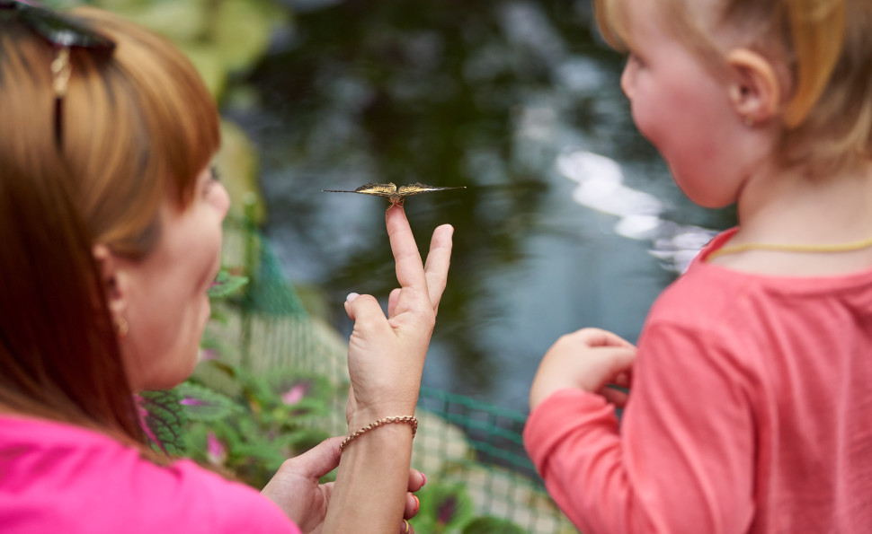 Табір для активних та допитливих дітей Kebeta Camp